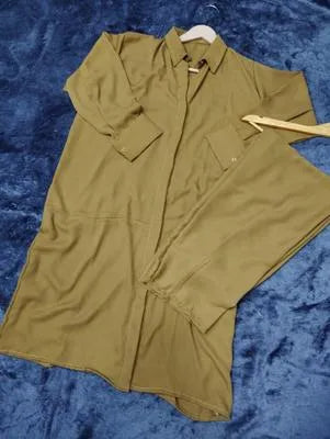 2 Pcs Women's Stitched Georgette Plain Shirt And Trouser